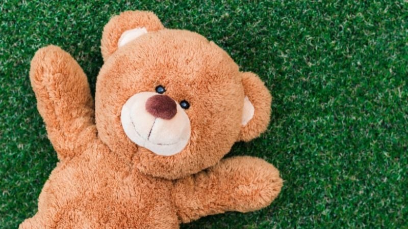 teddy bear