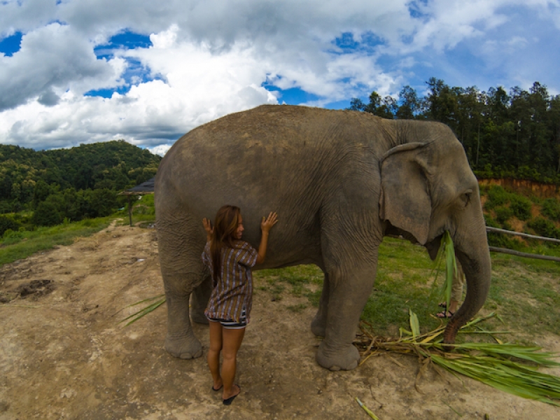 Elephant Jungle Sanctuary