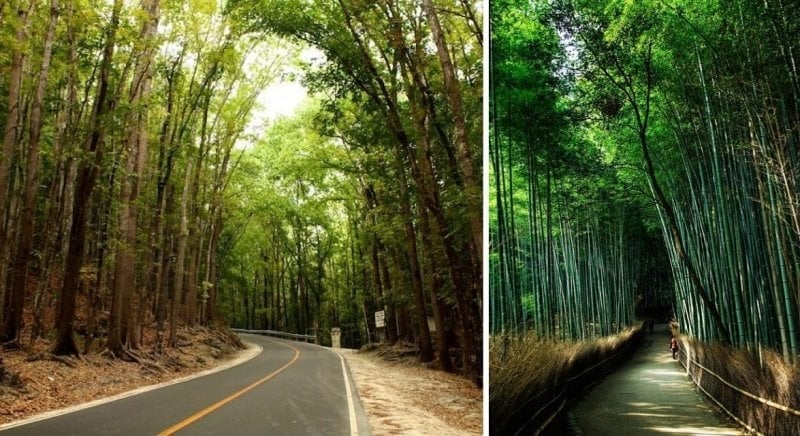 8 Stunning Places in the Philippines That Look Like Japan