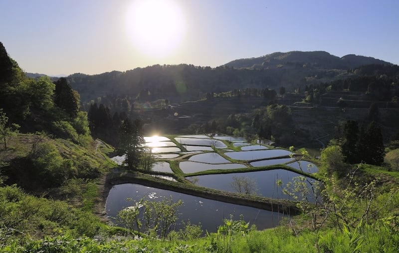 villages in Japan – Yamakoshi rice paddies