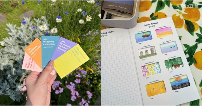 jeju colour hunting