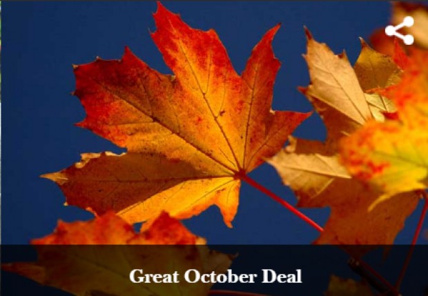 Great October Deal at Concorde Hotel Shah Alam