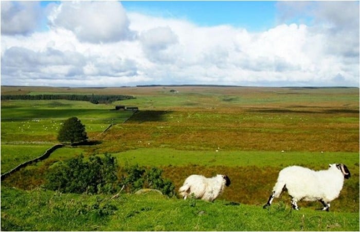 hadrians wall