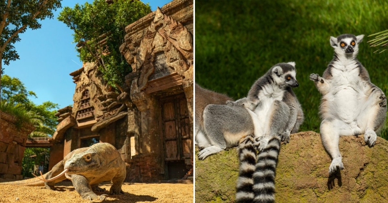 bioparc fuengirola