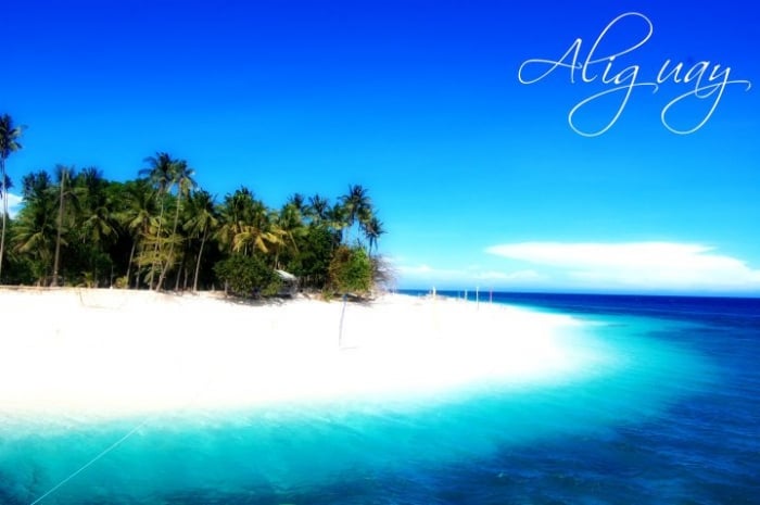 Aliguay Island