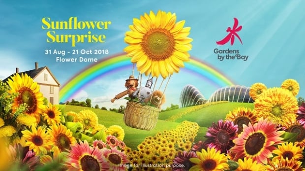 10% OFF Admission to the Conservatories of Gardens by the Bay for NTUC Cardholders