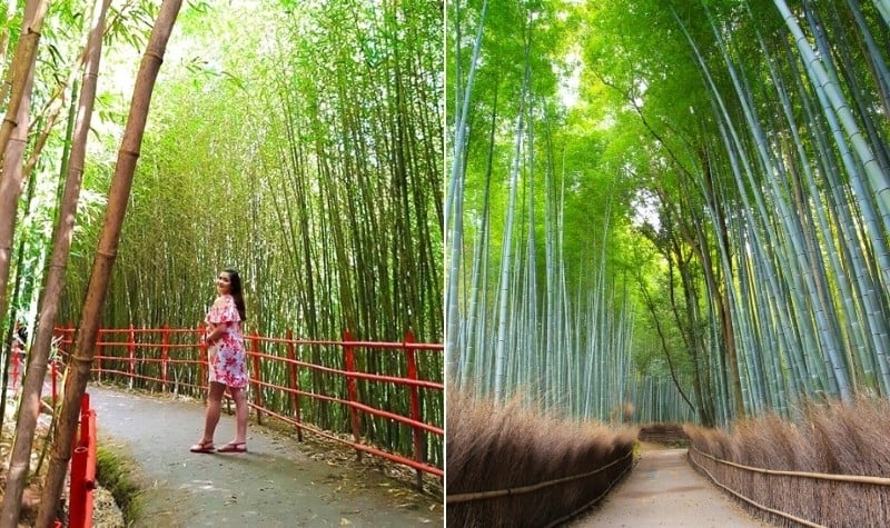 8 Stunning Places in the Philippines That Look Like Japan