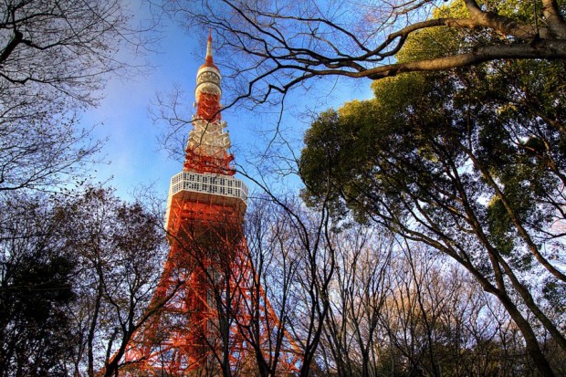 Early Grab Fares to Japan with DBS/POSB Cards and Cathay Pacific