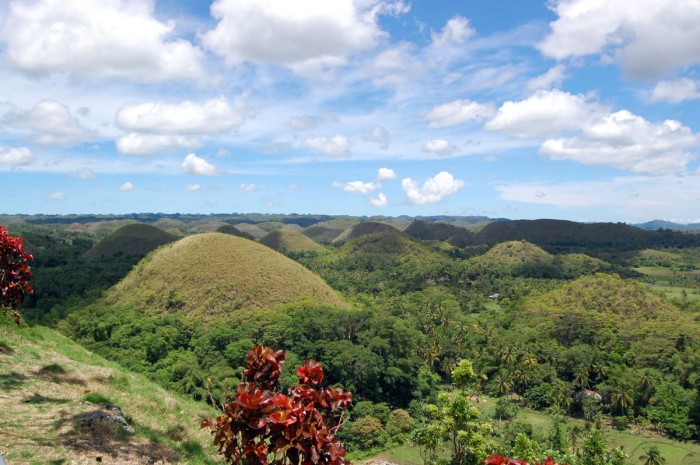 Chocolate Hills