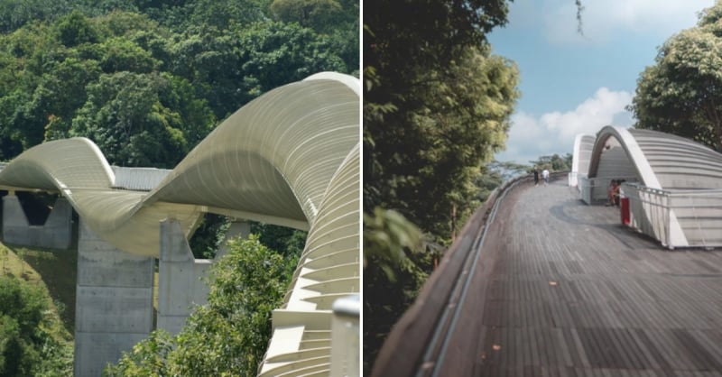 singapore bridges henderson waves