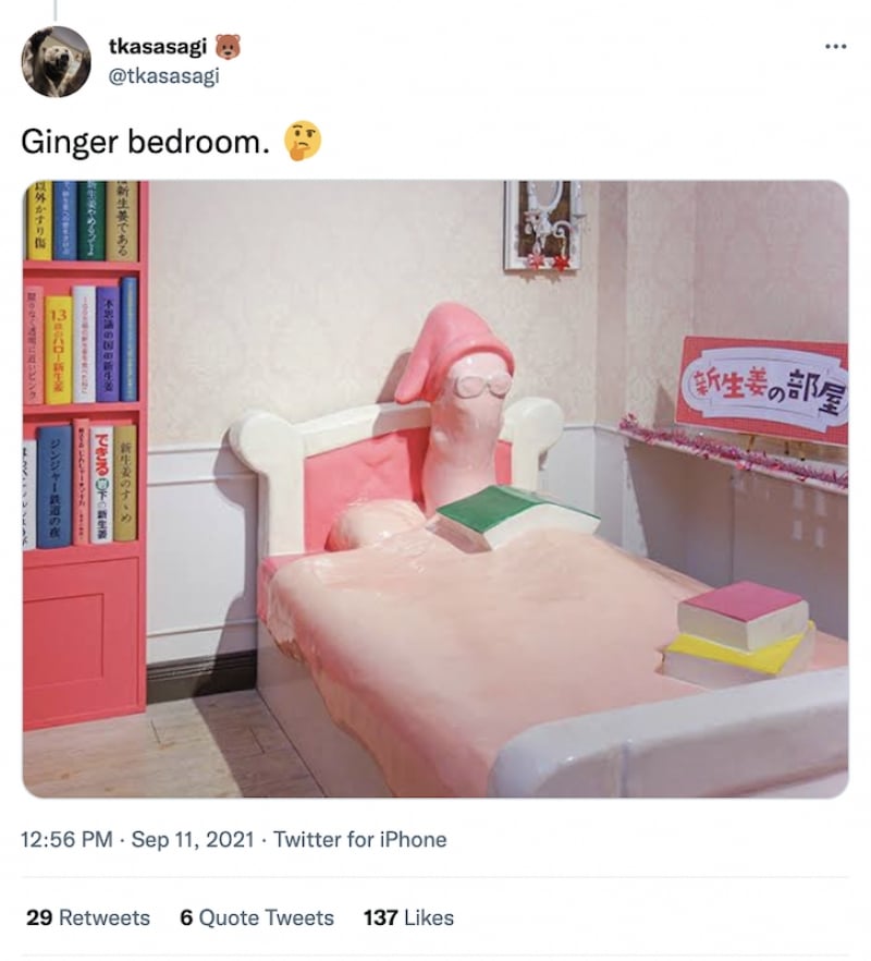 the new ginger museum