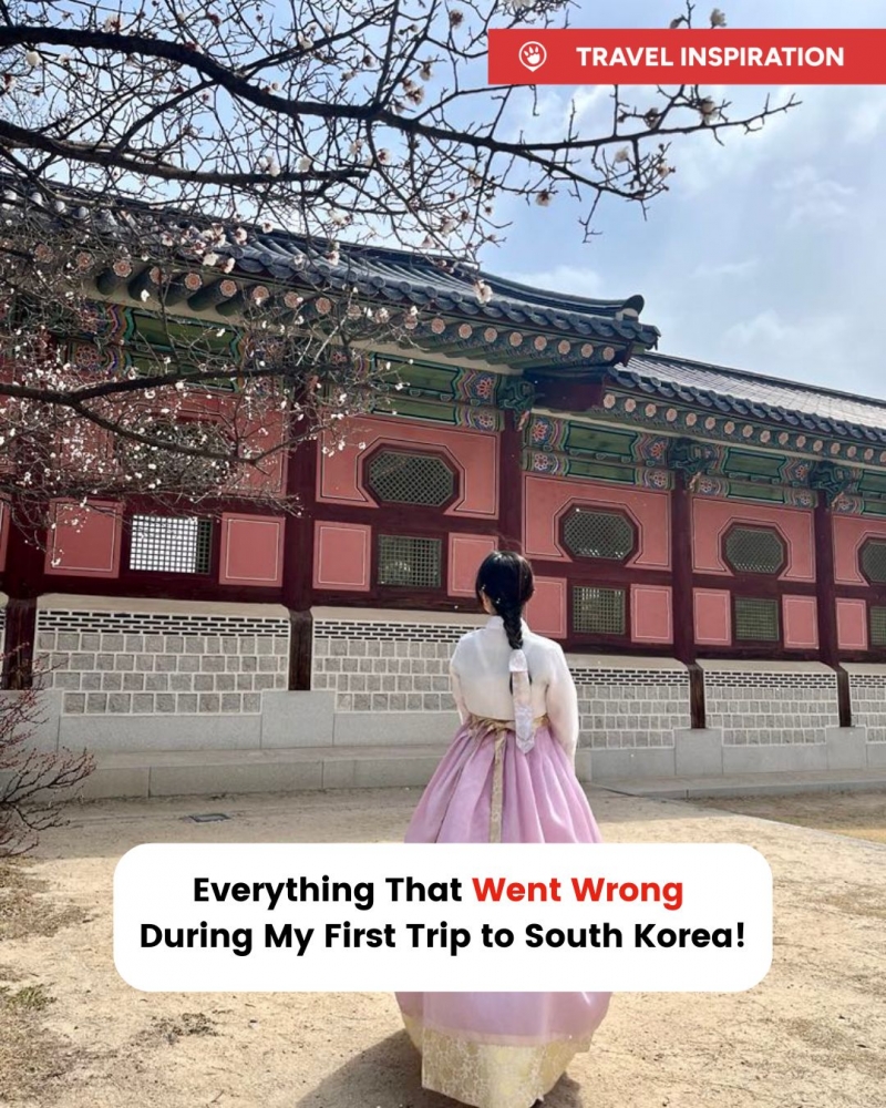 Tripzilla Instagram Bio Links