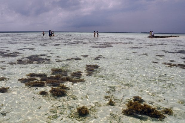 10 Unspoilt Islands in Indonesia for Your Next Beach Vacation
