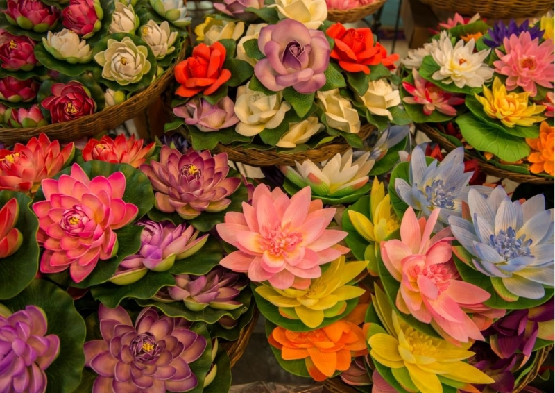 What to buy at Chatuchak Market: Plants