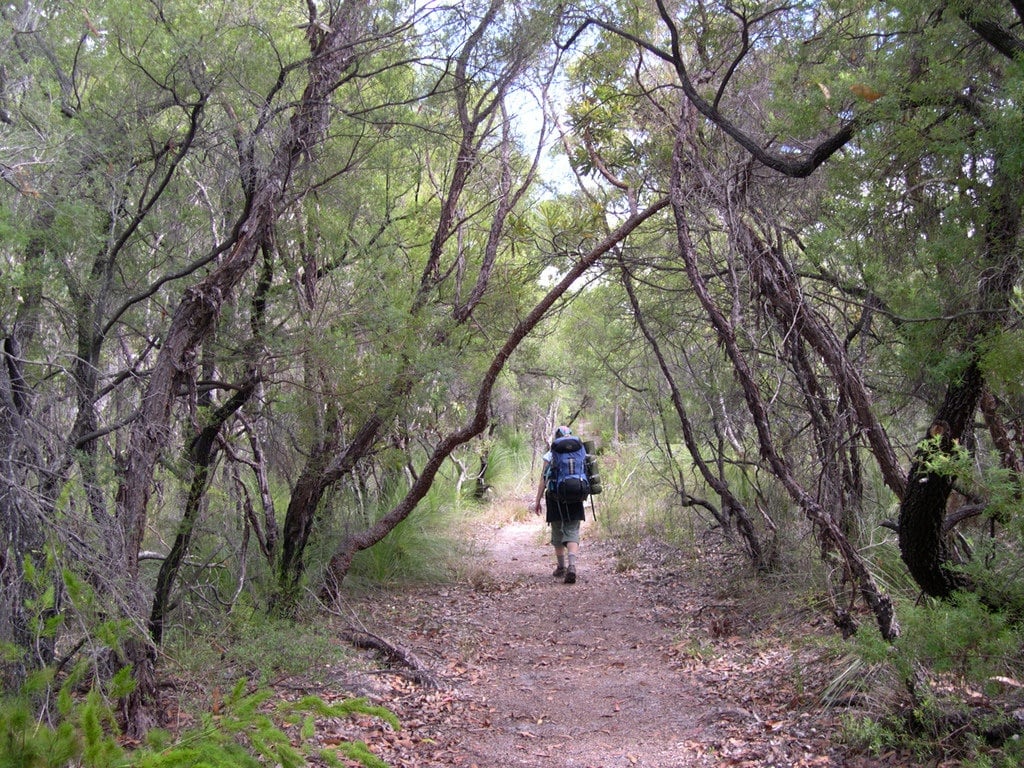 Fraser Island Great Walk