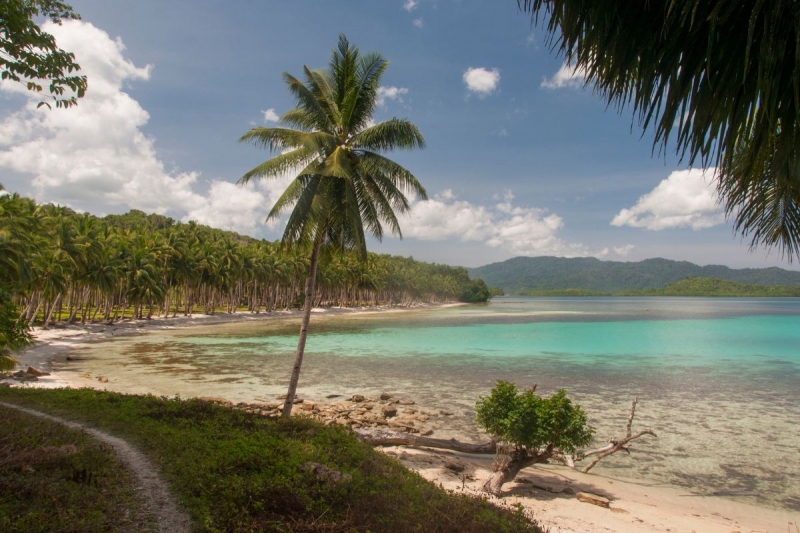 port barton san vicente palawan 