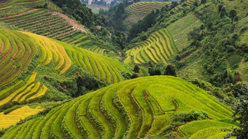 sapa, vietnam