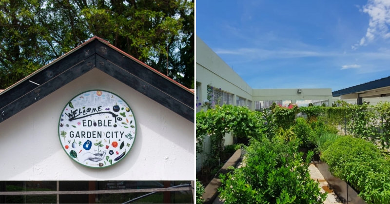 Edible Garden City
