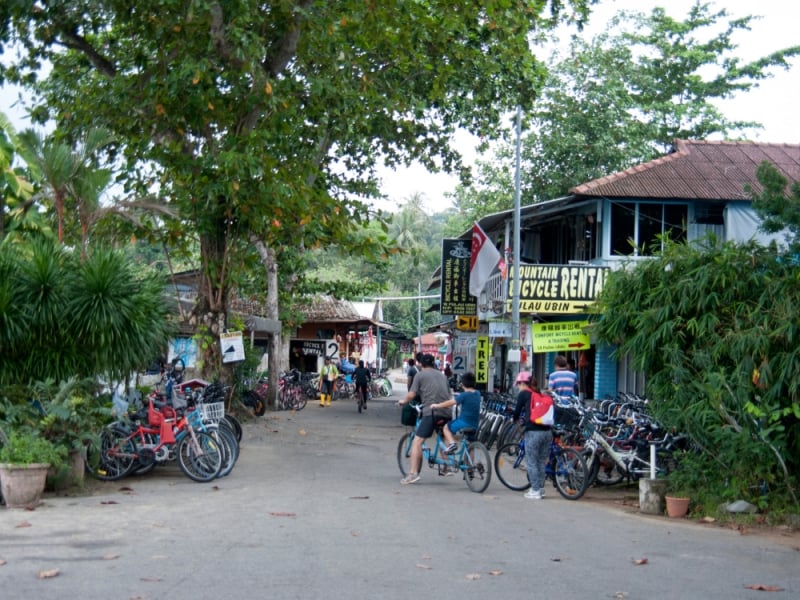 cycling in pulau ubin