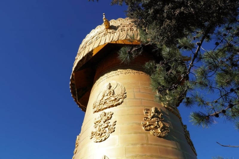 dukezong wheel