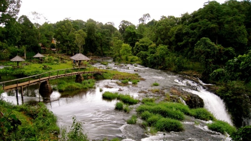 things to do in bolaven plateau