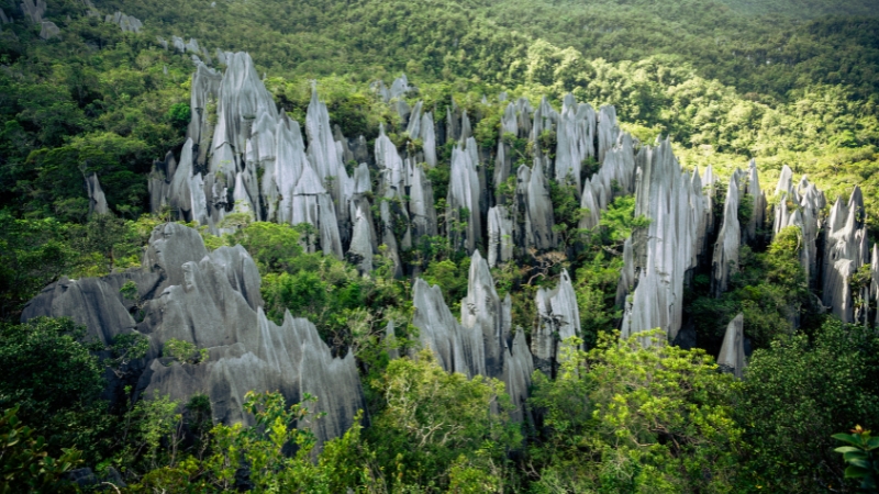 mulu pinnacles