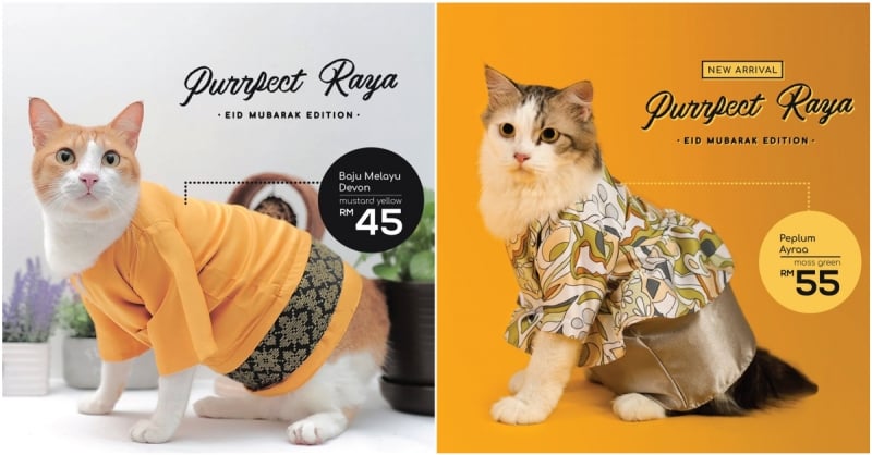 Celebrate Hari Raya With These Cute Cat Baju Kurungs - HalalZilla