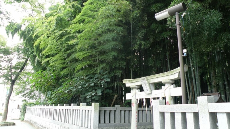 forbidden forest in tokyo