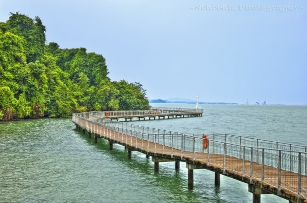 hoạt động vui chơi ở Singapore