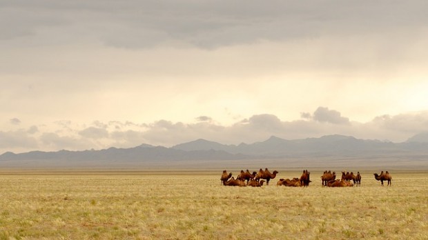 Mongolia