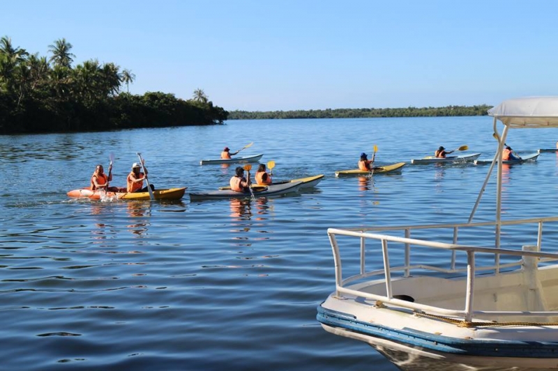 10 places camotes