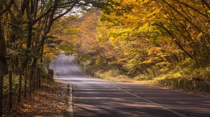 visa-free fall foliage destinations jeju island