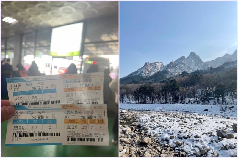 korea trip budget