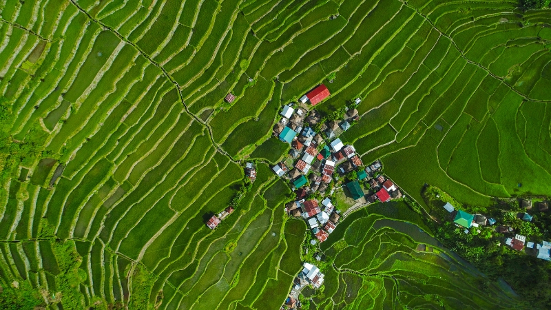 rice terraces in banaue philippines