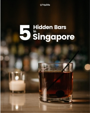 Tripzilla Instagram Bio Links