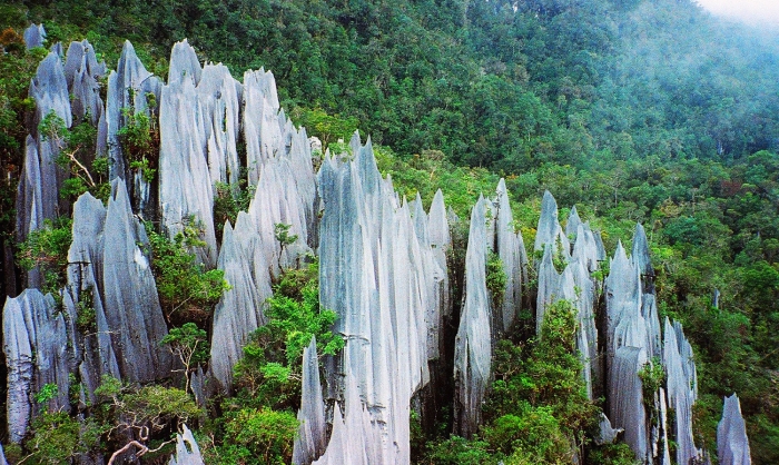 Công viên quốc gia Gunung Mulu