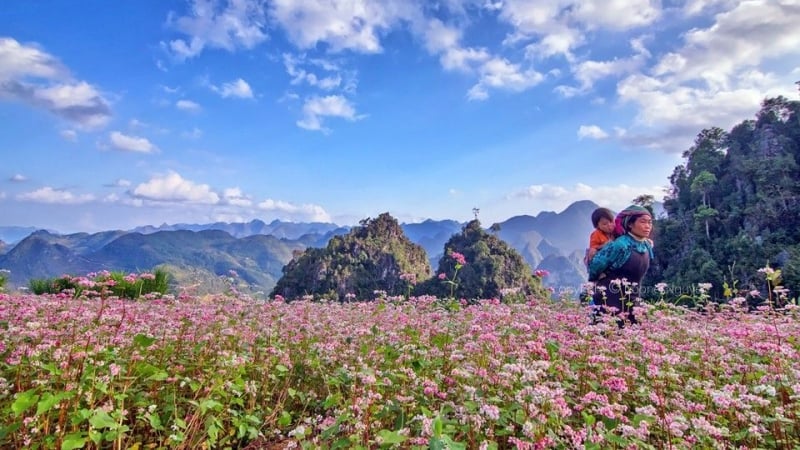 7 Places in Vietnam for Outdoor Adventures
