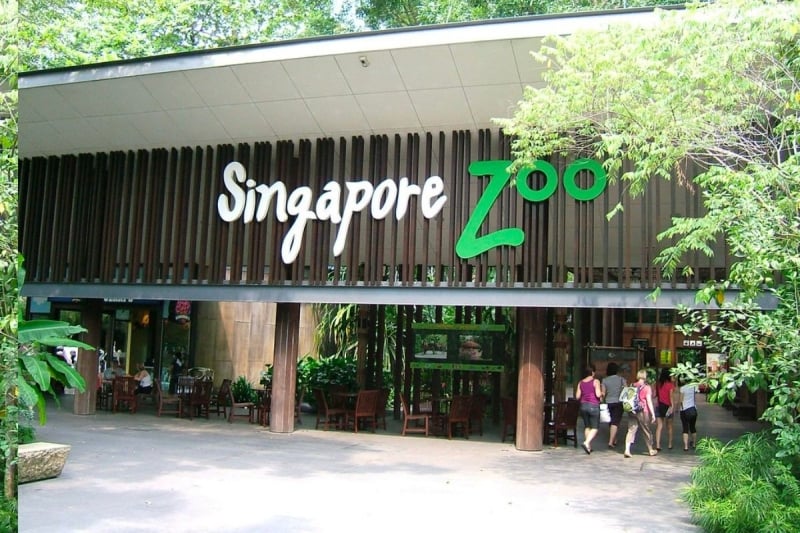 breakfast in the wild at singapore zoo