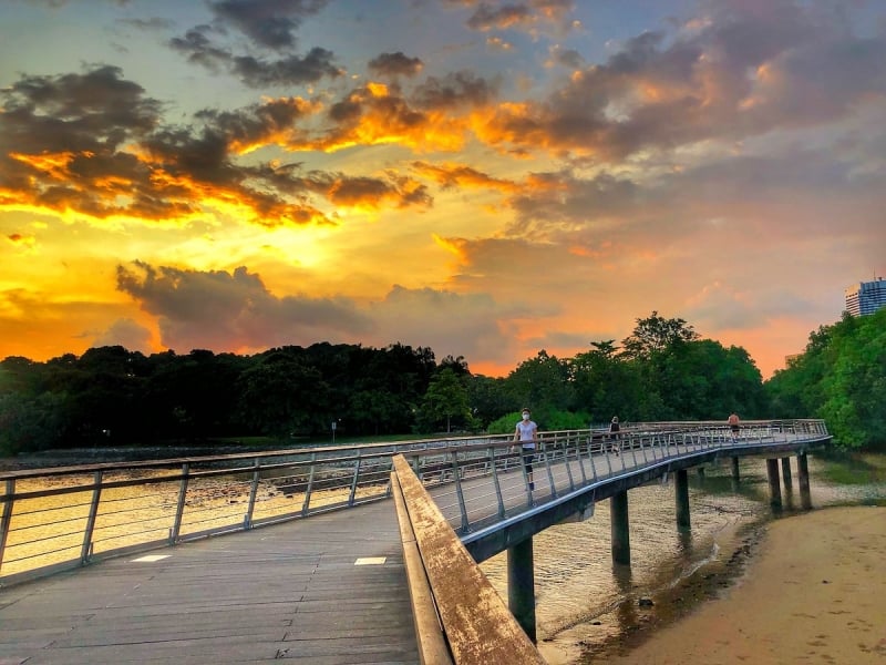 Labrador Nature Reserve is one of the best singapore hiking trails