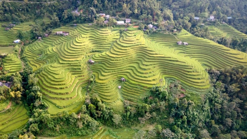 aerial view of the rice terraces of banaue philippines