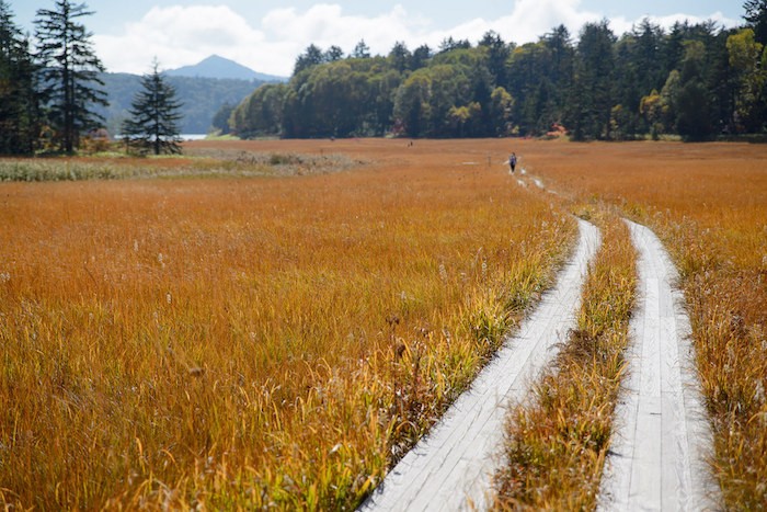 Oze National Park japan