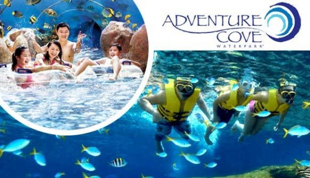 Get 2 Adult Passes and 1 Child Pass for S$78 in Adventure Cove Waterpark with DBS Card