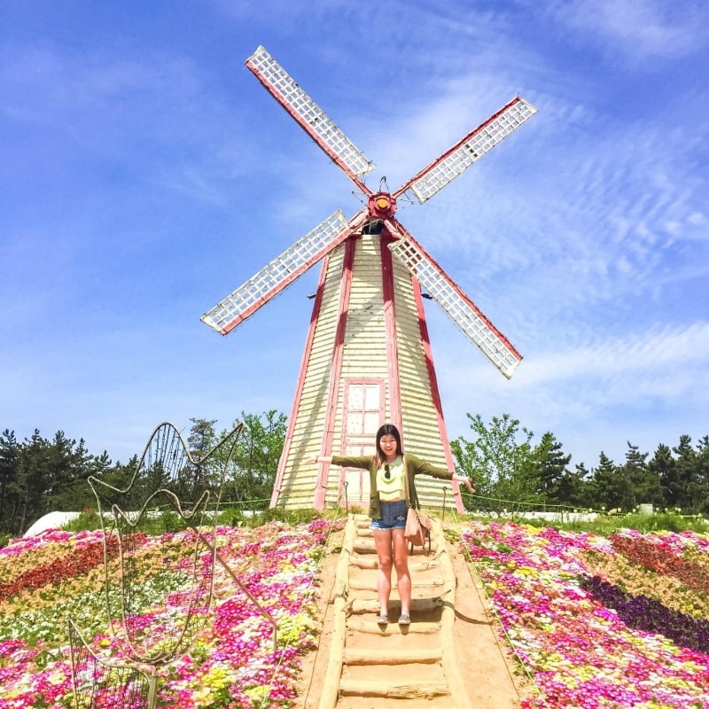 Here’s Why You Need to Experience Korea’s Taean Tulip Festival Next Spring