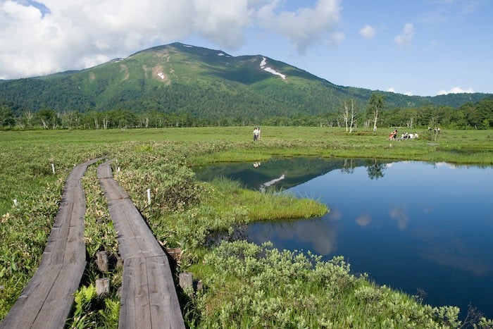 Oze National Park japan