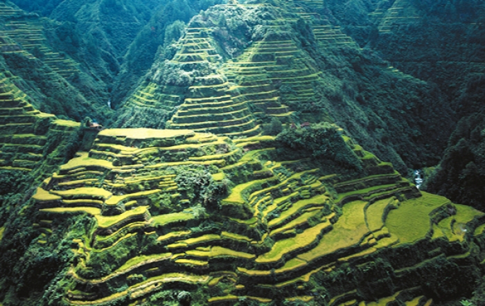 Ruộng bậc thang trên các dãy núi ở tỉnh Ifugao