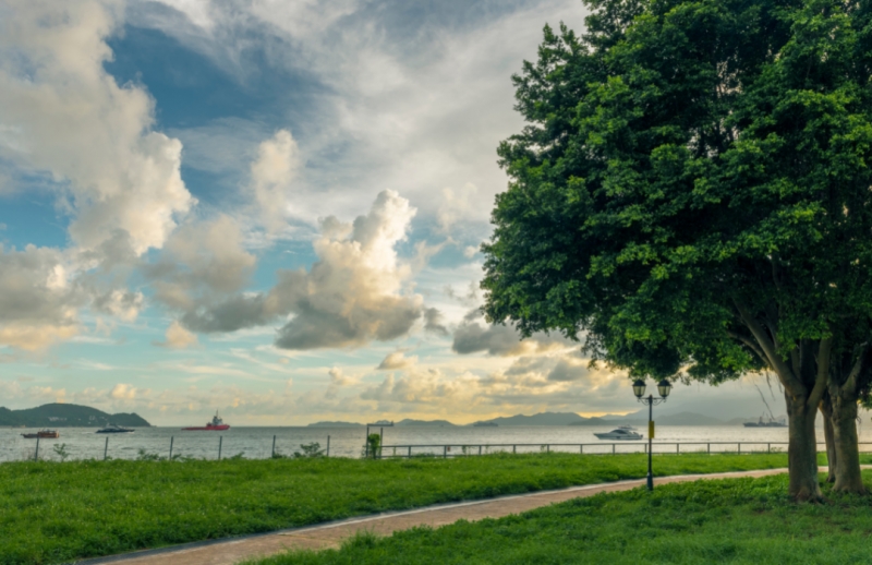 Cyberport Waterfront Park