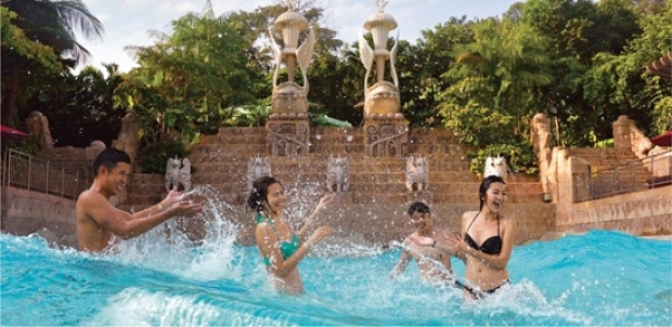 Adventure Cove Waterpark with Universal Christmas 2017 Admission | Adult Bundle