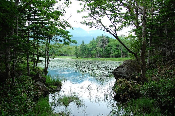 Shiretoko National Park japan