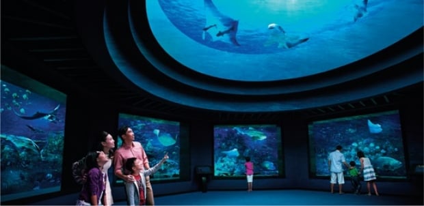 S.E.A. Aquarium One-Day with Universal Christmas 2017 Admission | Adult Bundle