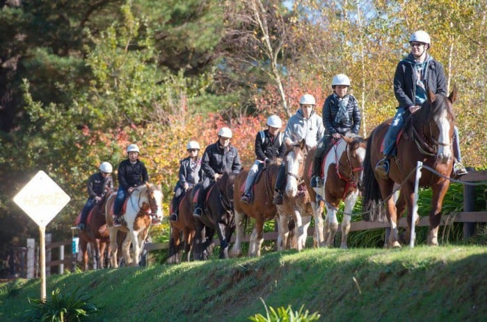 Equestrian australia